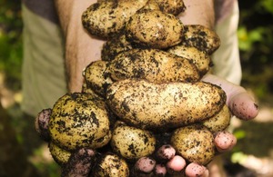 UK government announces £15Mn fund to address food waste