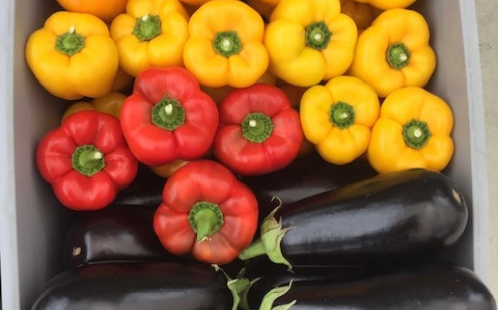 Australia’s Western Sydney University helps students in need with fresh produce