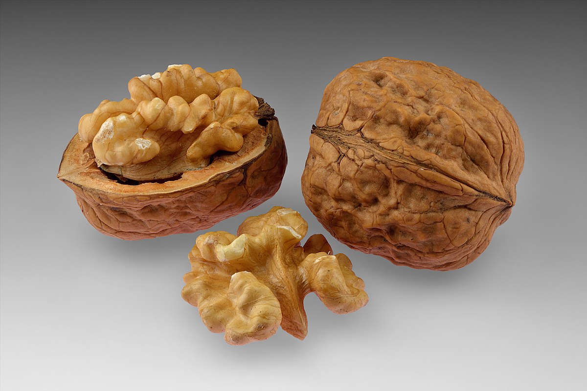 Growing trend of walnut exports from India: A global perspective