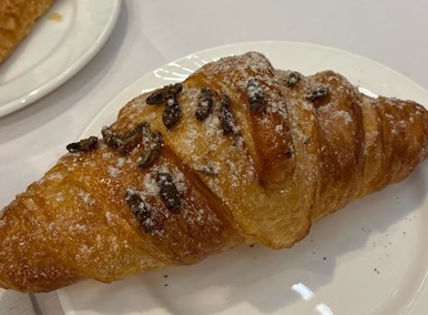 Bugs on menu: Singapore embraces edible insects for sustainable future