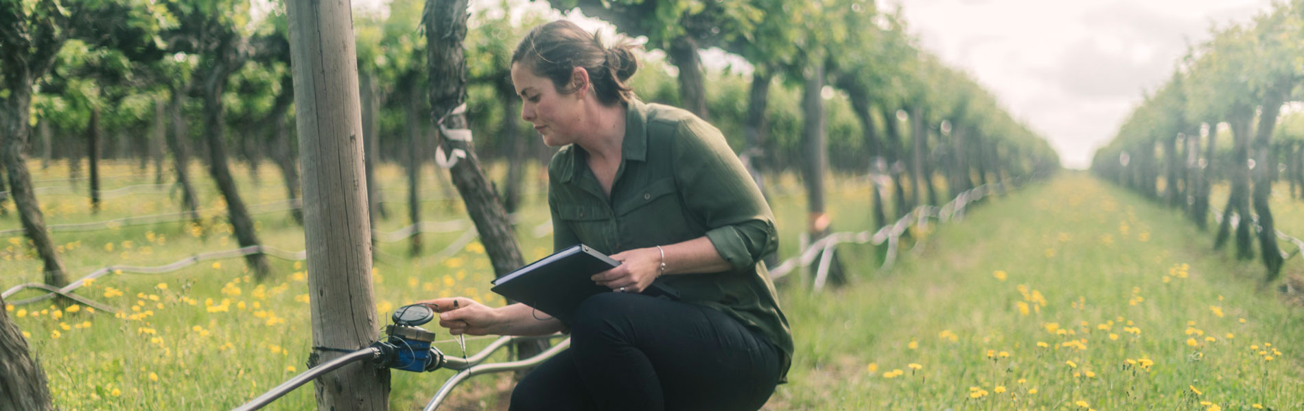 Women’s representation in Australian wine sector sees growth, but challenges remain