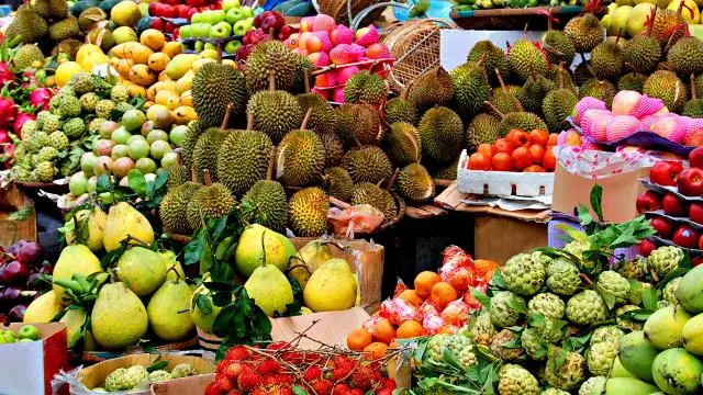China and Kazakhstan introduce cross-border fruit and vegetable trade model