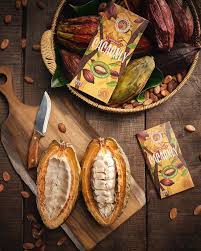 Koa partners with Altinmarka and Kahve Dünyası to bring Cacaonly  