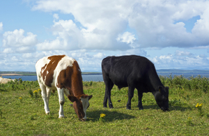 UK extends ban on personal meat imports to protect from FMD