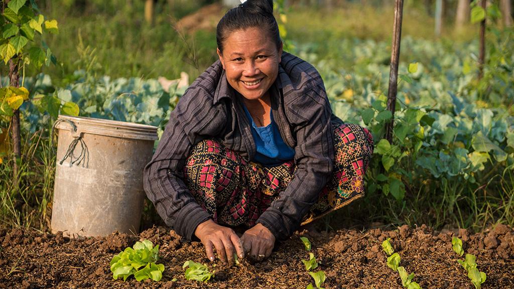 ADB support for food security to reach $40 Bn by 2030