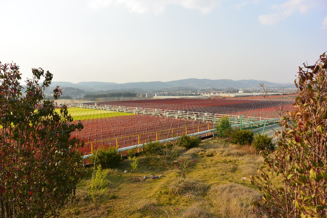 BGG expands manufacturing facilities in China