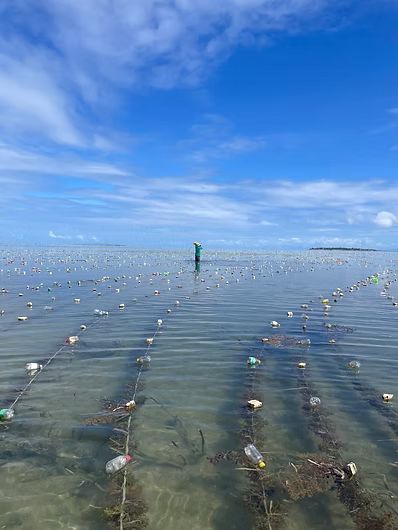 Potato Impact Partners invests in Philippines’ Coast 4C