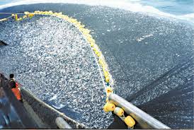 New Ocean Centres to drive safer and sustainable ocean economies across Global South 