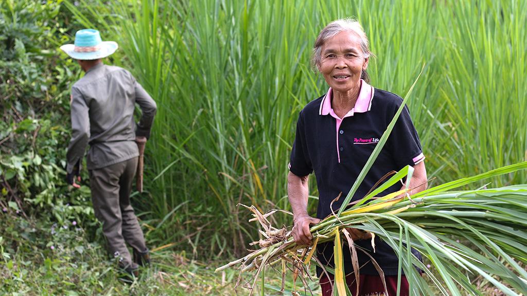 ADB to support agrifood systems transformation in Lao PDR