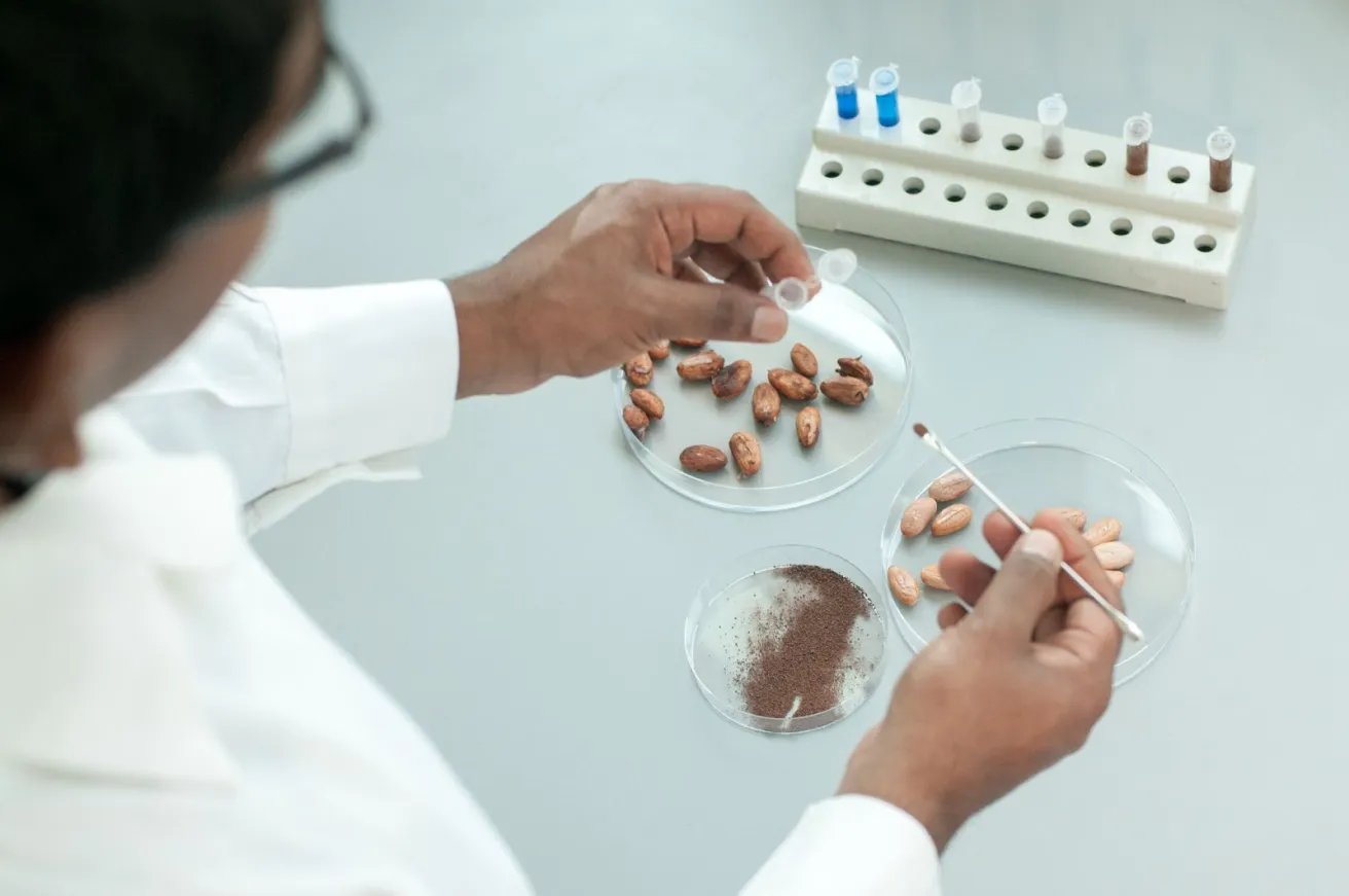 Barry Callebaut partners with the Zurich University to explore cocoa cell culture technology