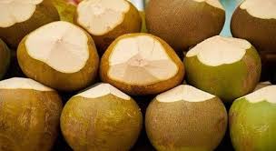 Vietnam’s coconut industry booms but can it sustain momentum?