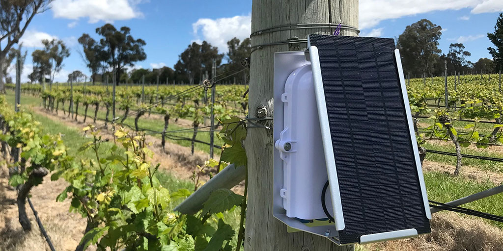 Federal grant to accelerate rollout of smoke sensor innovation Australian for wine sector
