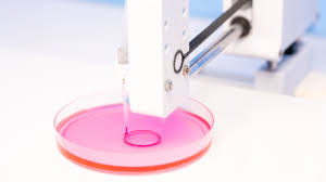 Cellbricks Therapeutics reaches key milestone using Rousselot biomaterials