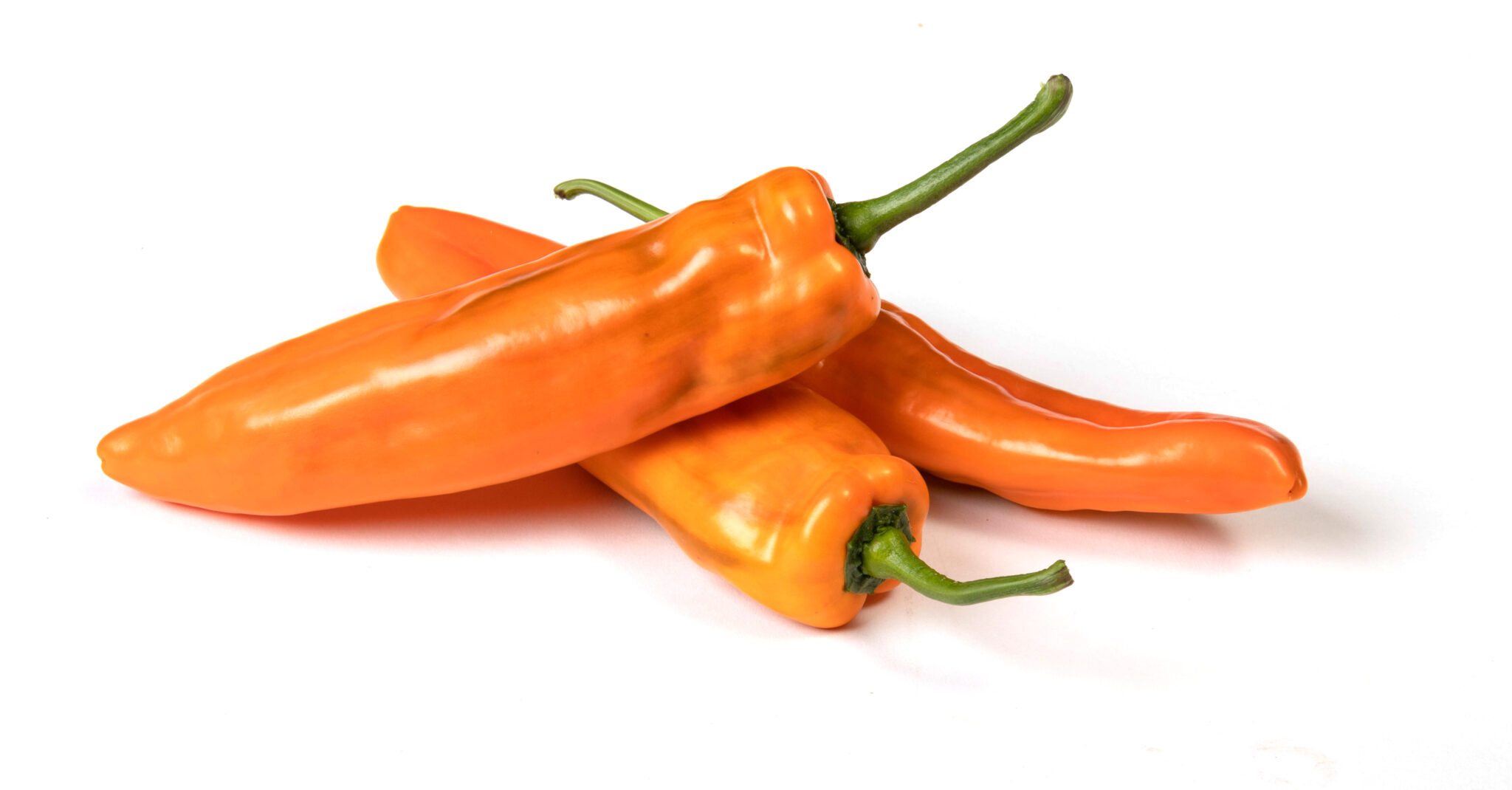 Eminent Seeds expands pointed pepper portfolio with Stallone and Connery