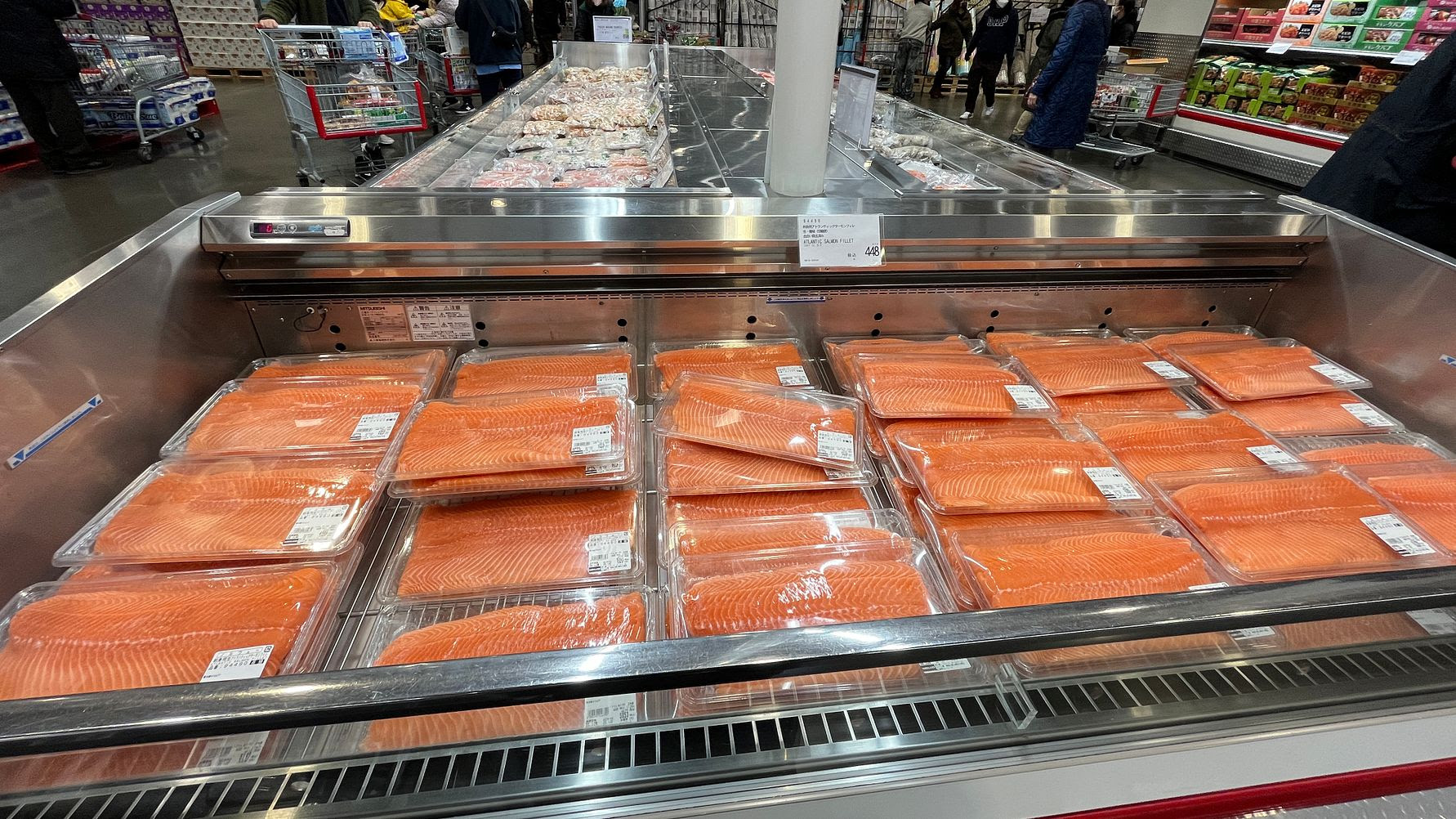 Norway’s seafood exports fall 2% in August, amid U.S. tariff hike, strong growth to China