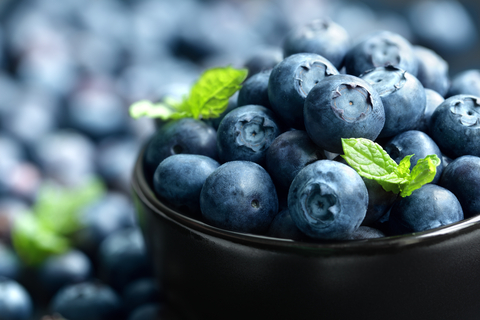 Australia secures new export market for blueberries in Vietnam