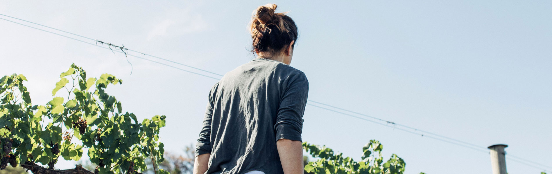 Australia releases toolkit to advance gender equity across wine sector