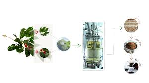 Pluri’s Coffeesai and Instituto del Café de Chiapas collaborate to advance cell‑based coffee manufacturing in Mexico