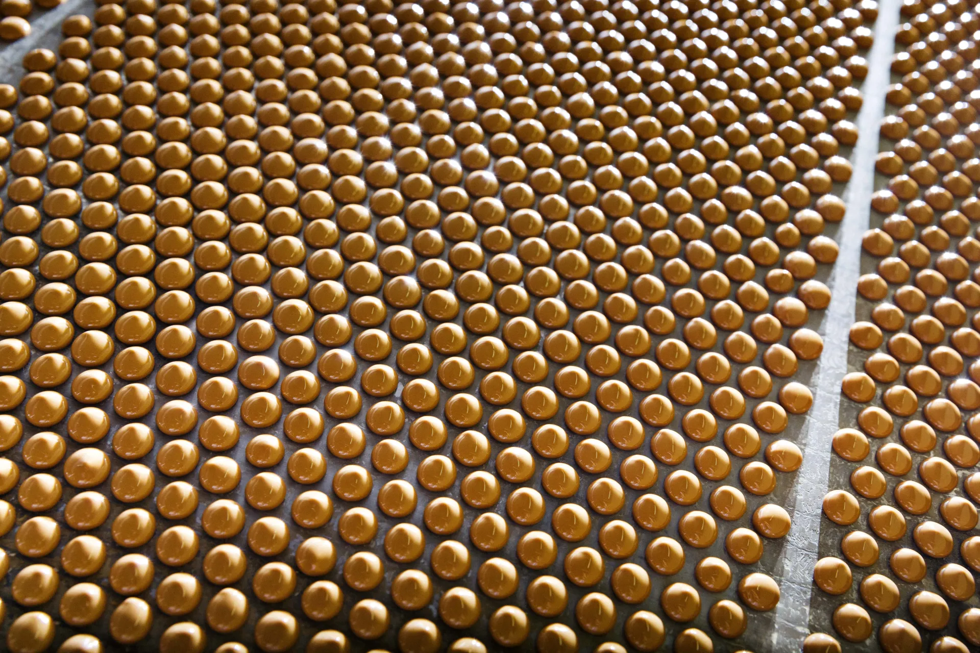 Barry Callebaut partners with NotCo AI to unlock chocolate innovation