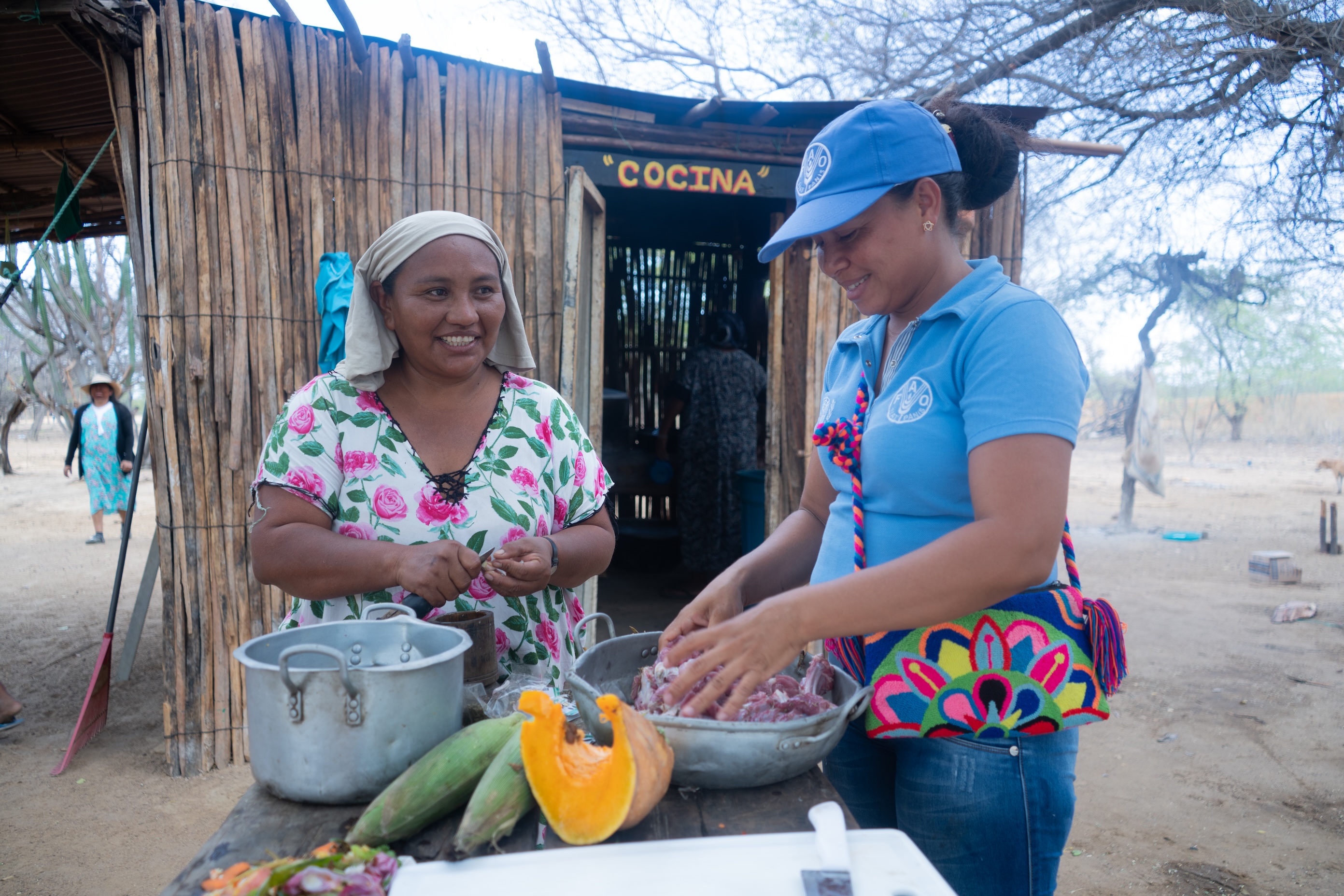 COP30: Landmark report finds countries’ climate agrifood ambitions undermined by funding gaps