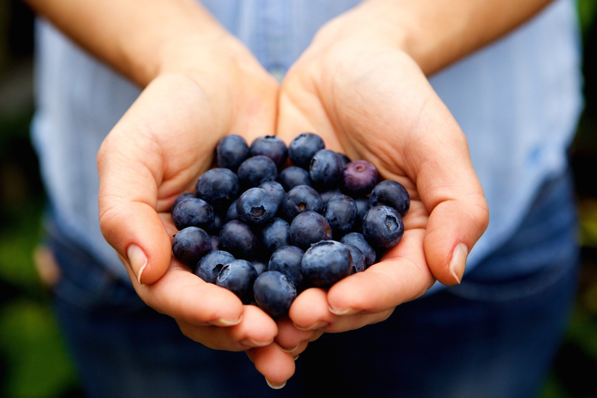 UNSW turns coffee waste into edible coating to keep summer fruits fresher for longer