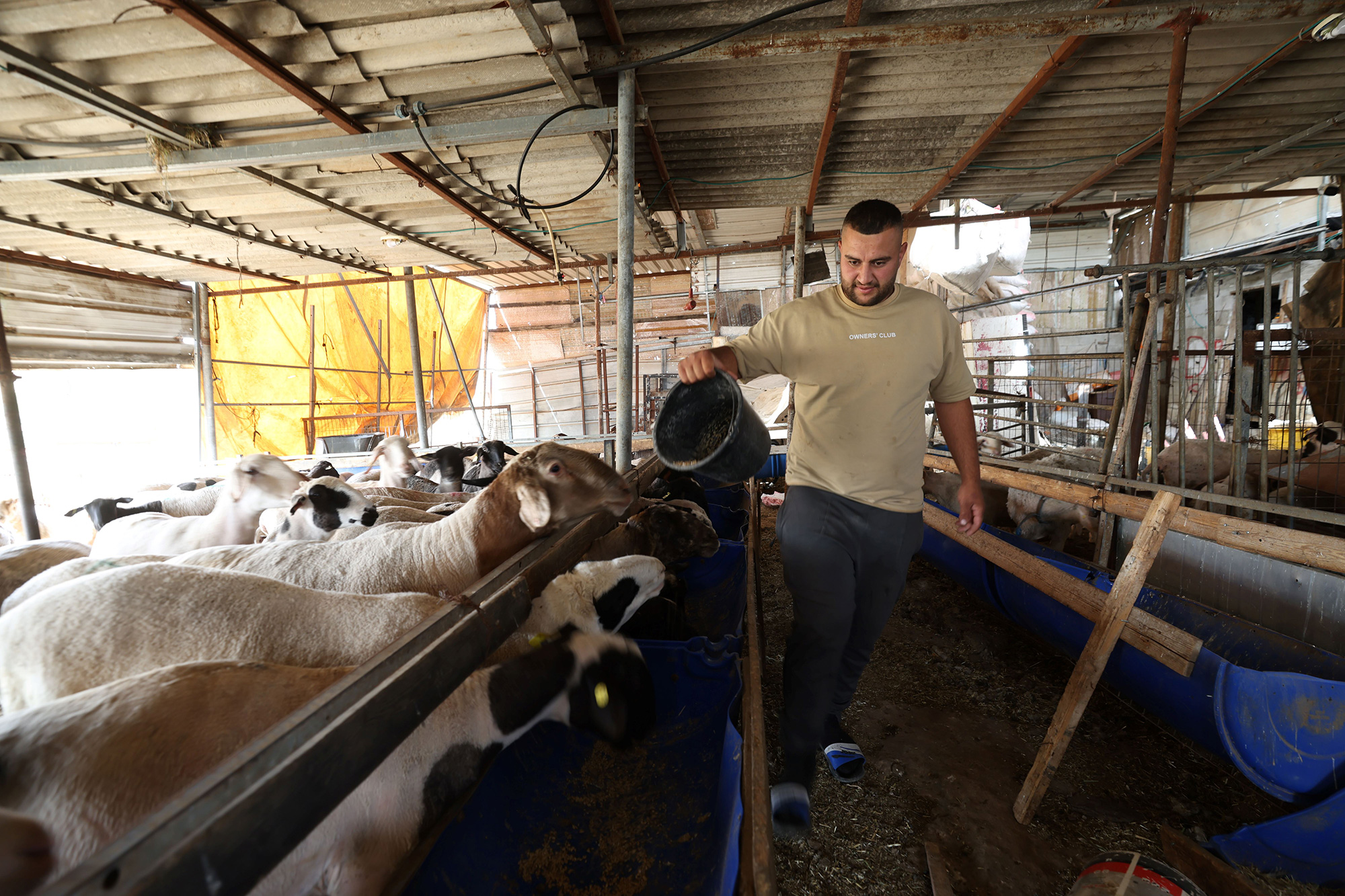 Over 72,000 West Bank farming families urgently need support, says FAO