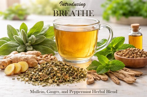 Caraway Tea Company launches Breathe new herbal tea blend