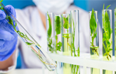 BON Partners with Chang'an Pilot to Launch Joint Laboratory for Natural Ingredient Bio-manufacturing