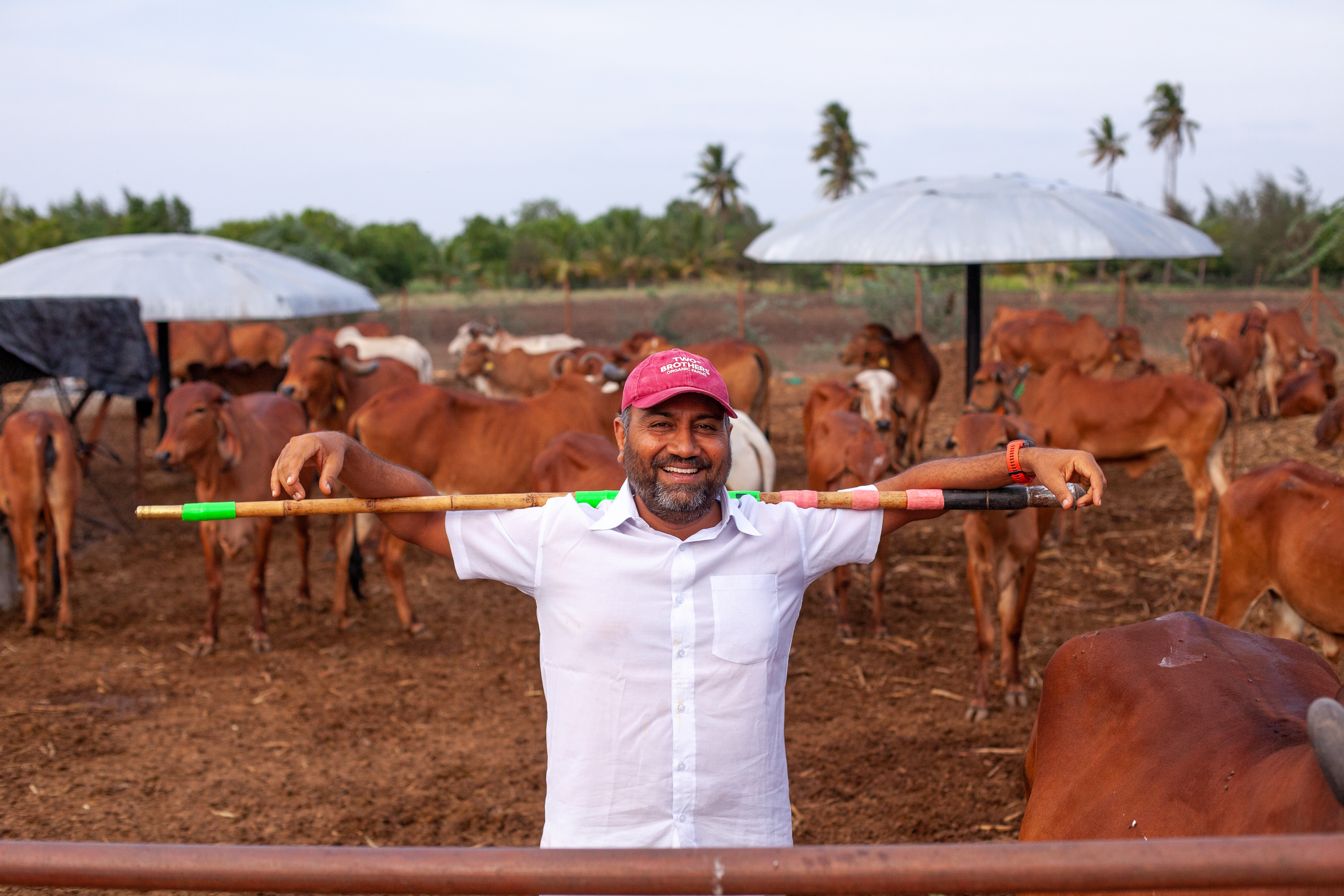 Redefining Trust in Organic Foods through Independent Testing