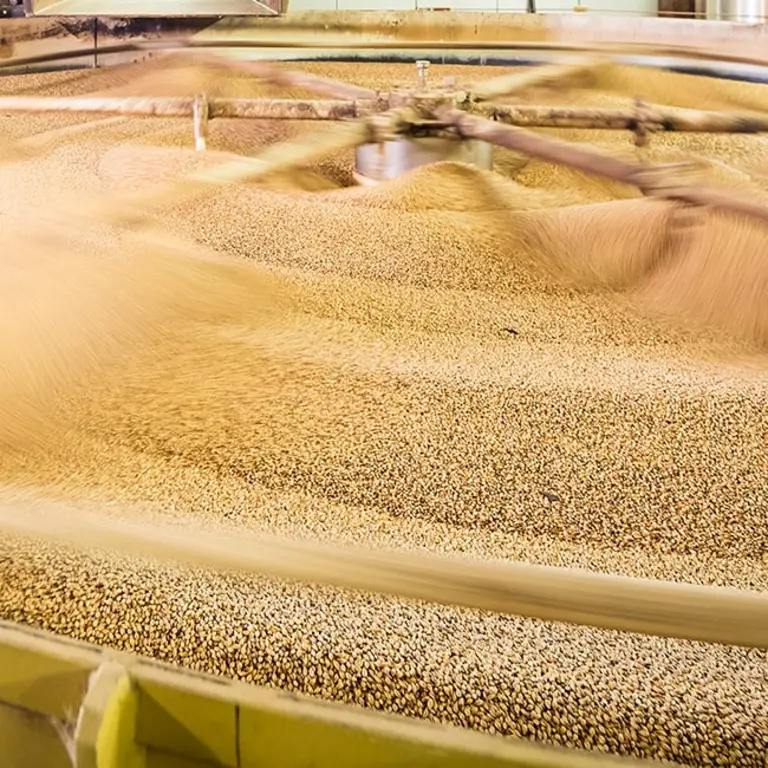 Soufflet Malt Invests €100 Mn in India to Build a new AI-Driven Malthouse