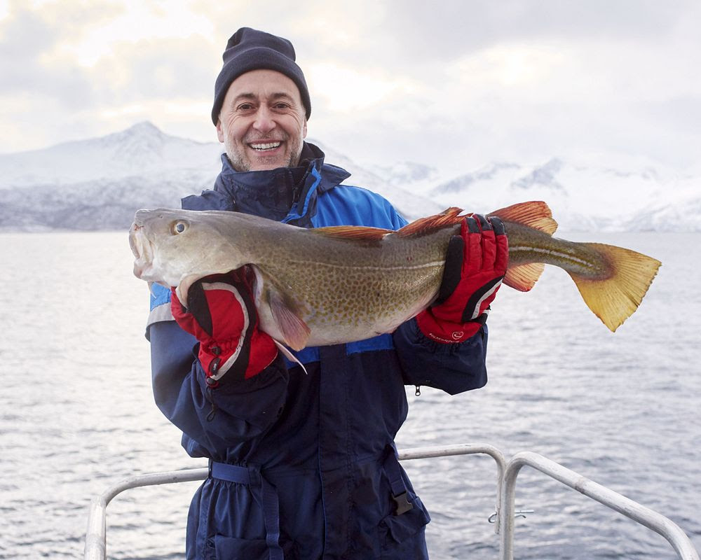 Norwegian skrei season returns, bringing Europe’s most anticipated winter cod