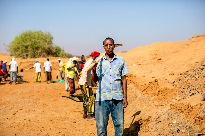IPC Report Flags Rapidly Deteriorating Food Security across Somalia