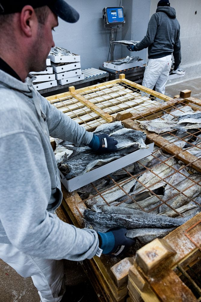 Norwegian Clipfish and Stockfish Gain Traction Across Key Markets