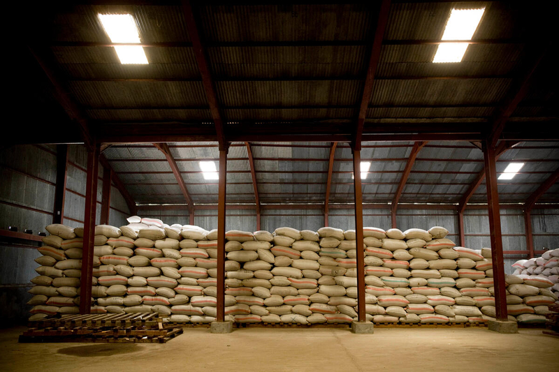 FAO Chief Economist Warns of Severe Global Food Security Risks from Disruption to Strait of Hormuz Trade Corridor
