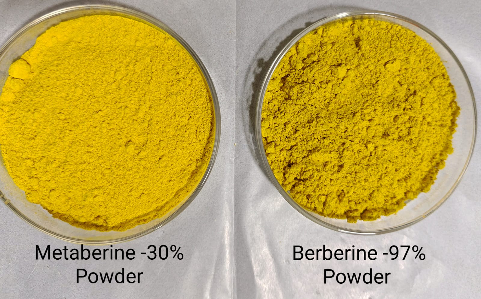 Zeus Hygia Expands Global Presence with Launch of Metaberine