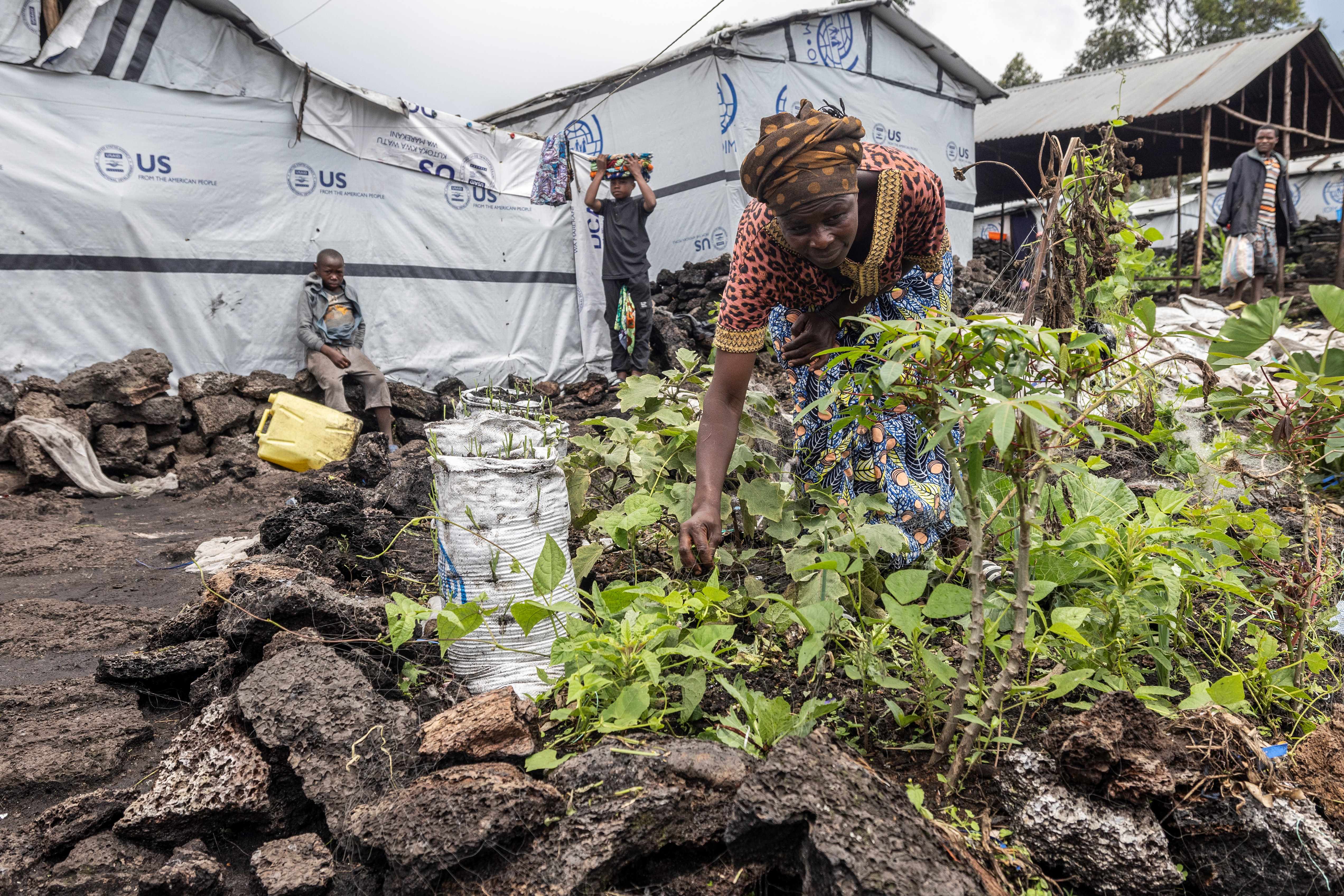 Millions Trapped in Deepening Hunger Crisis in DRC as Needs Far Outpace Humanitarian Response