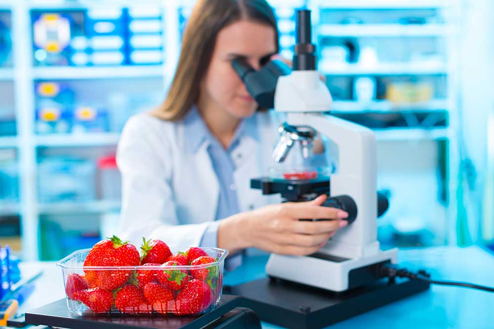 F&N, NTU set up joint lab for new ingredients