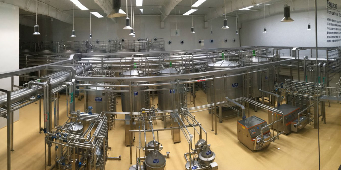 GEA to build largest infant formula plant in China
