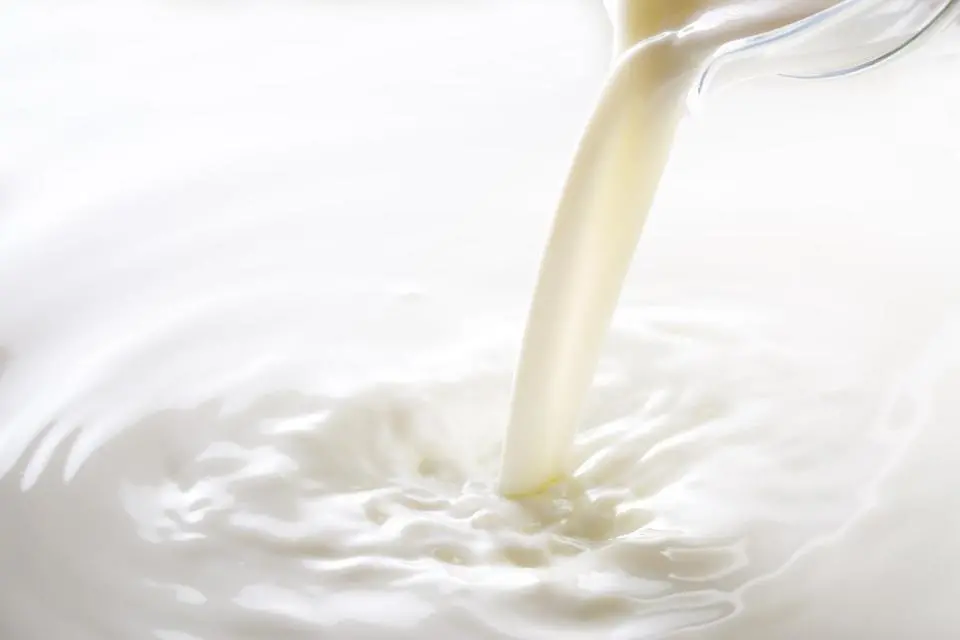 Jennewein Biotechnologie, Yili Group to bring innovation to baby food market
