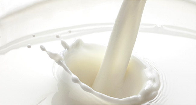 Meiji establishes new dairy unit in China