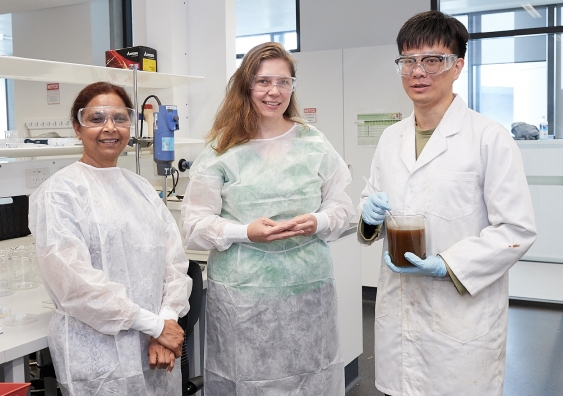 Researchers in Australia use banana plants for packaging