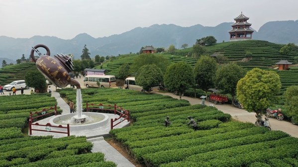 CTMA mentioned china’s tea industry at its boom