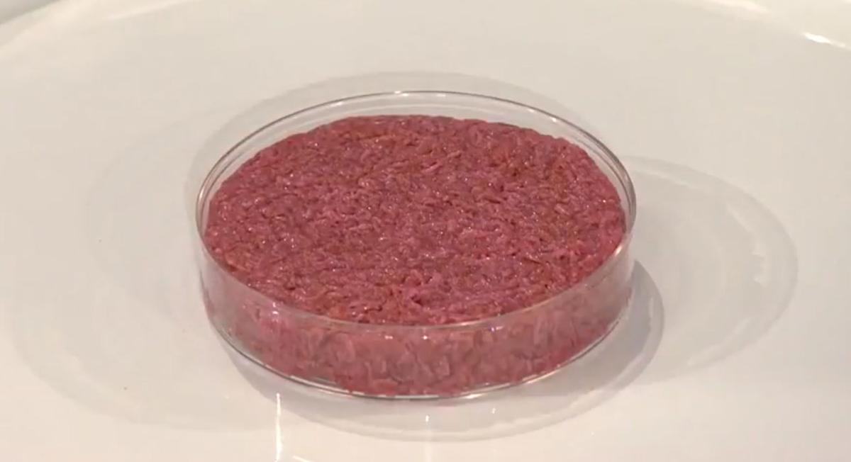 Stem cell study in Japan paves way for manufacturing cultured meat