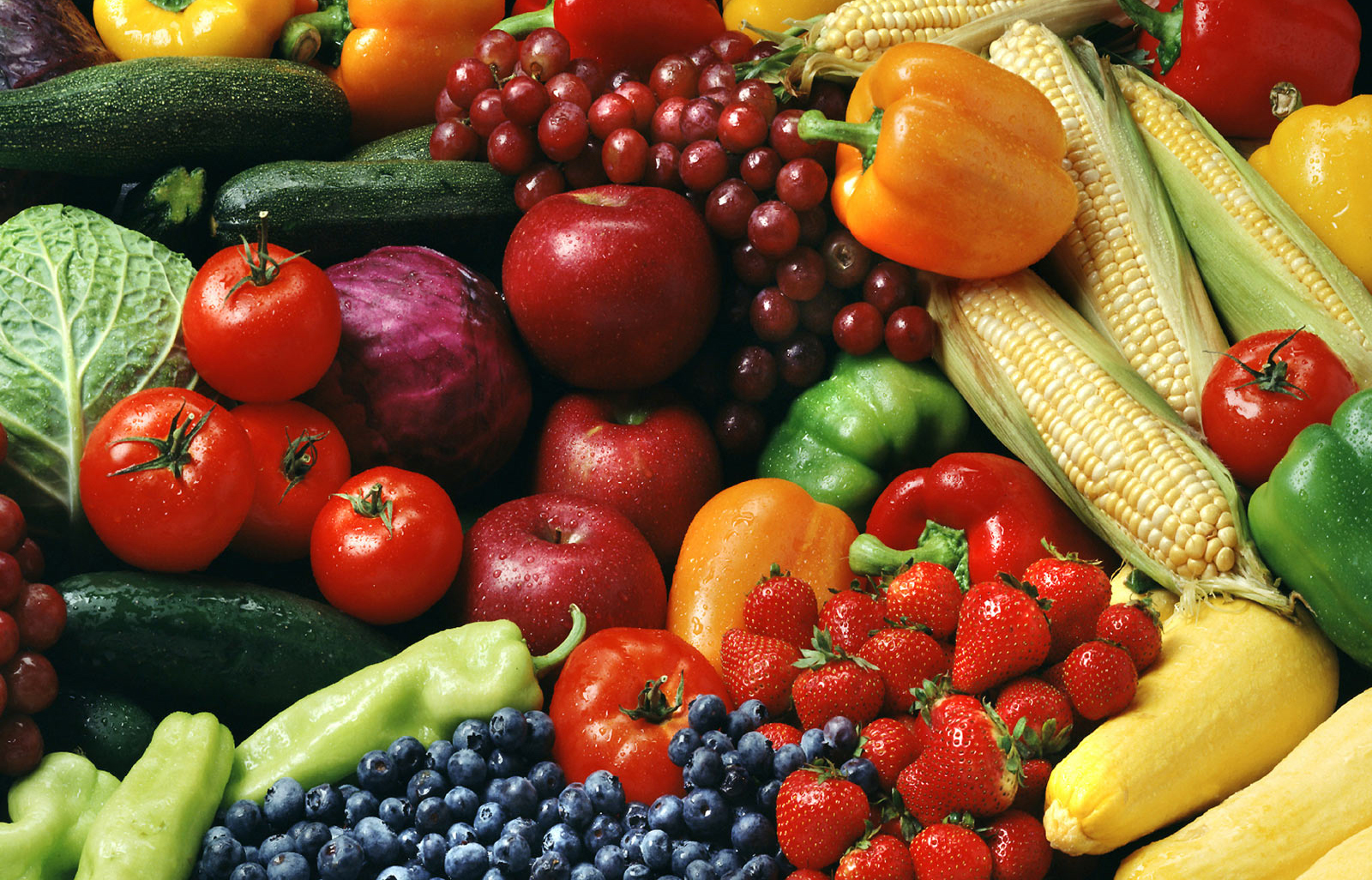 IFC likely to invest in organic food firm Agrex