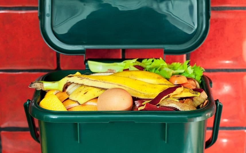 NEA to conduct food wastage audit