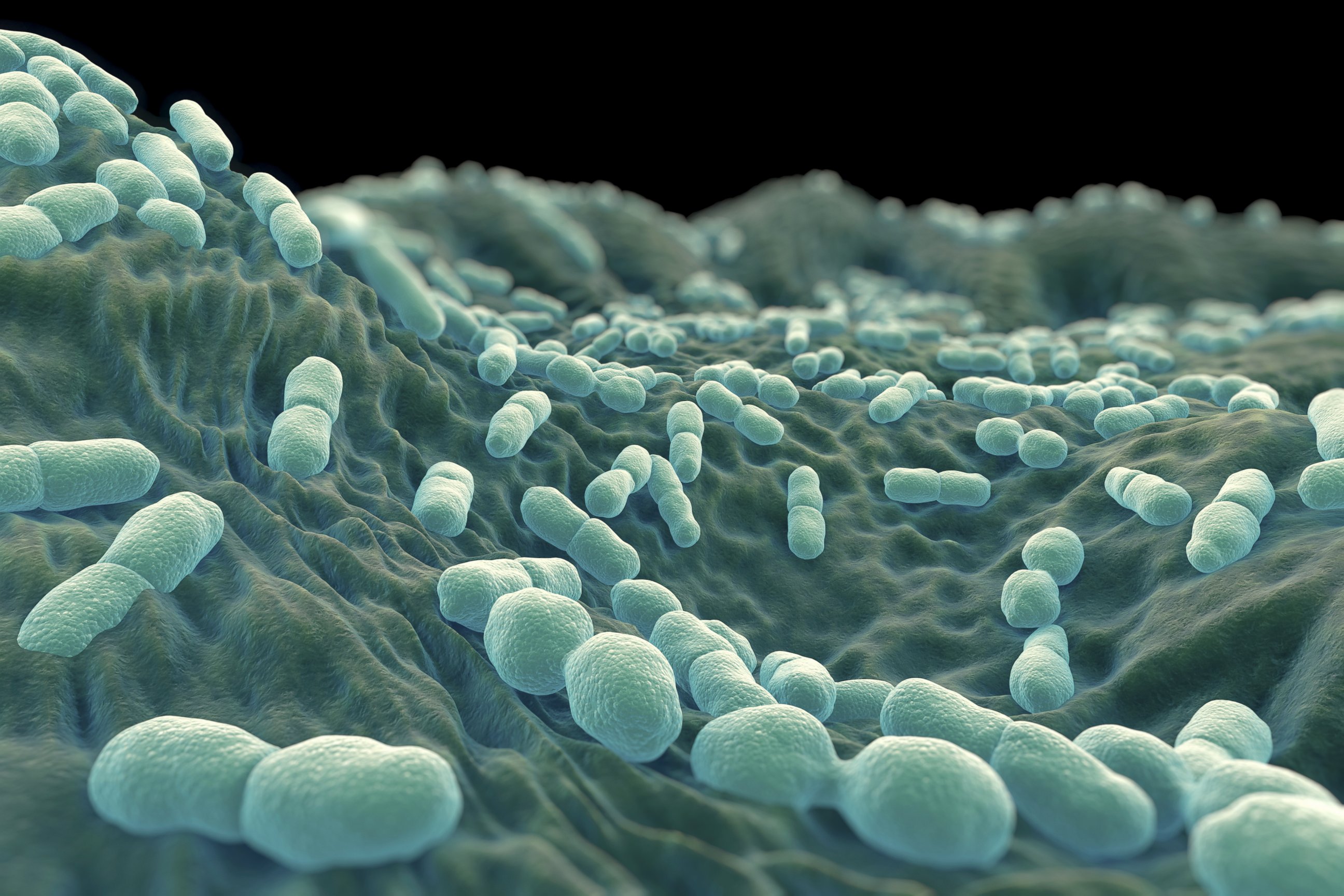 Taiwan names Listeriosis as major disease