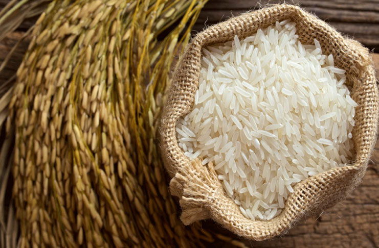 Korea supports Ghana in developing rice industry