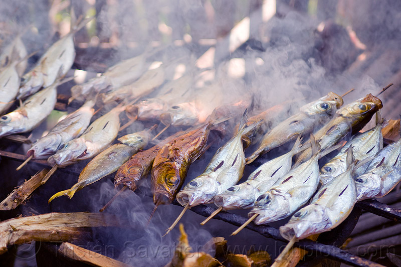 Asia to get new fish-smoking technology