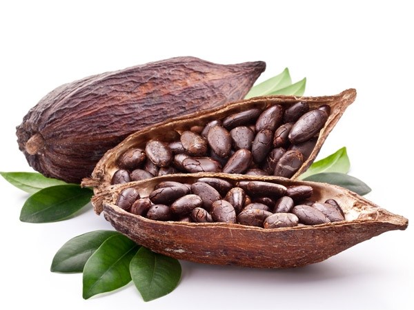Bühler expands its cocoa application facility at Jakarta