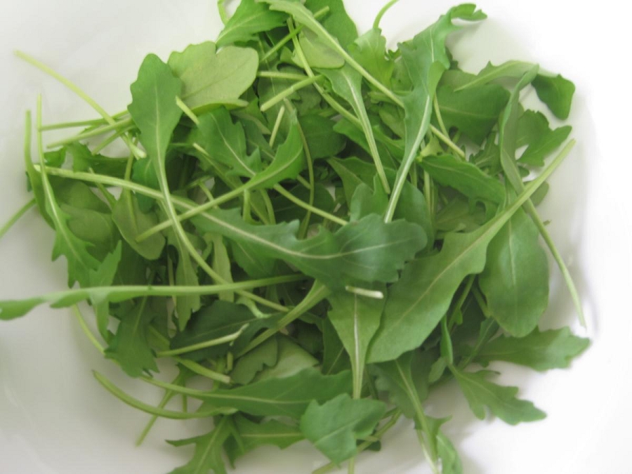 Roquette expands its Tokyo facility